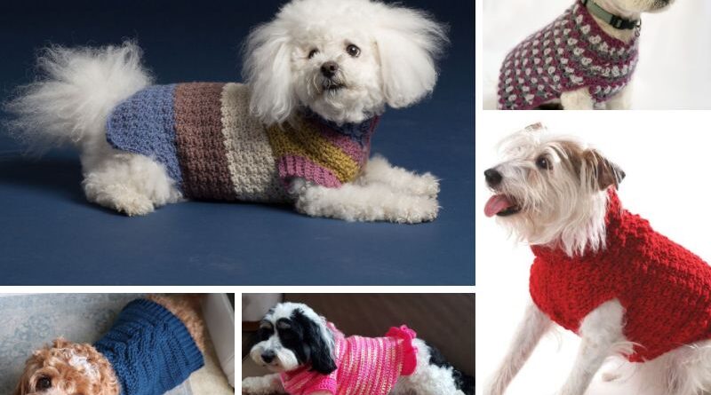 Crochet Dog Sweaters