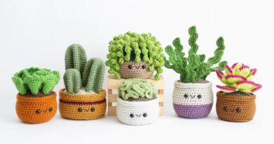Succulent Crochet